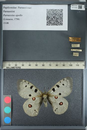 Media type: image;   Entomology 175080